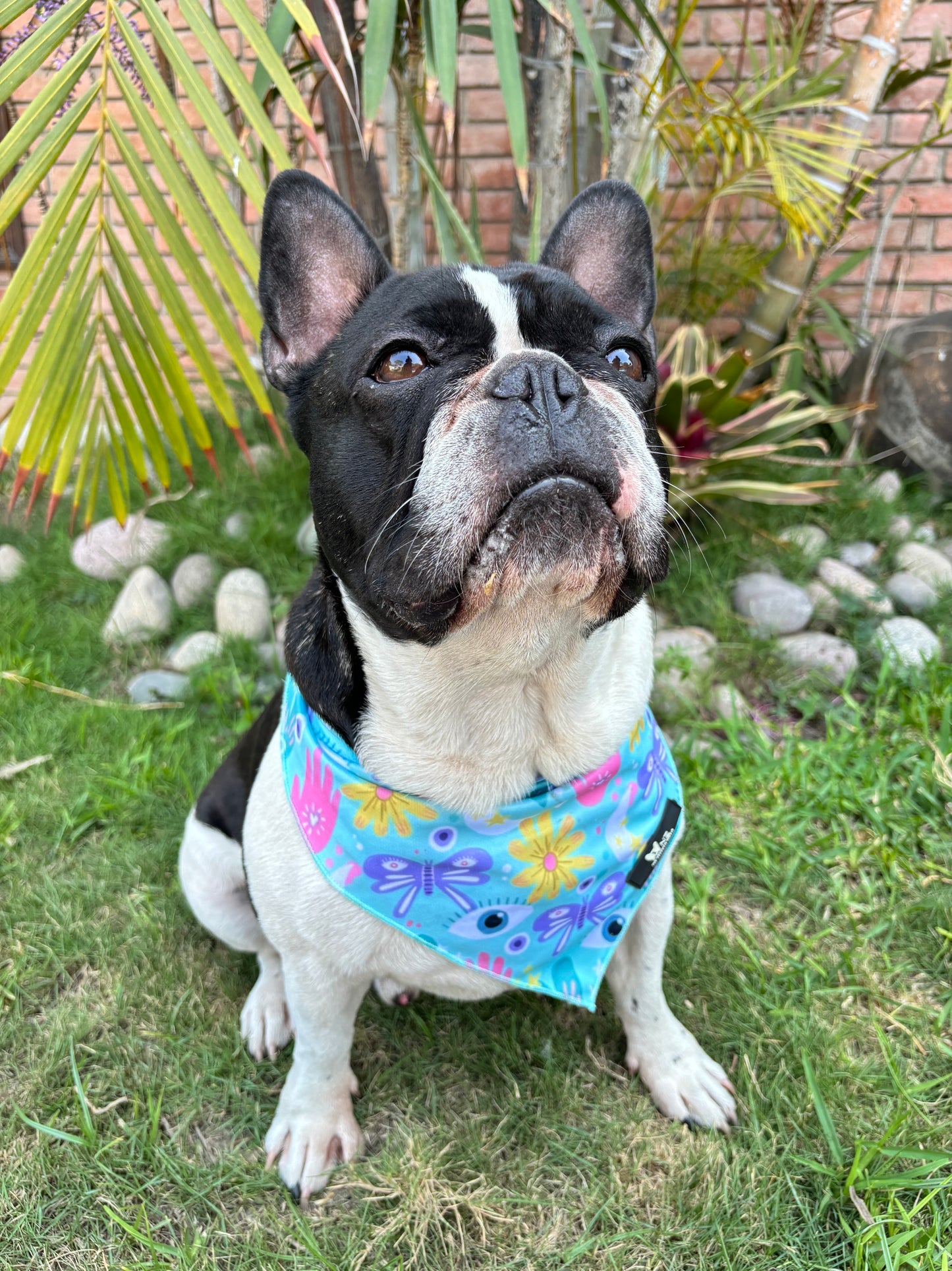 Bandana Frida