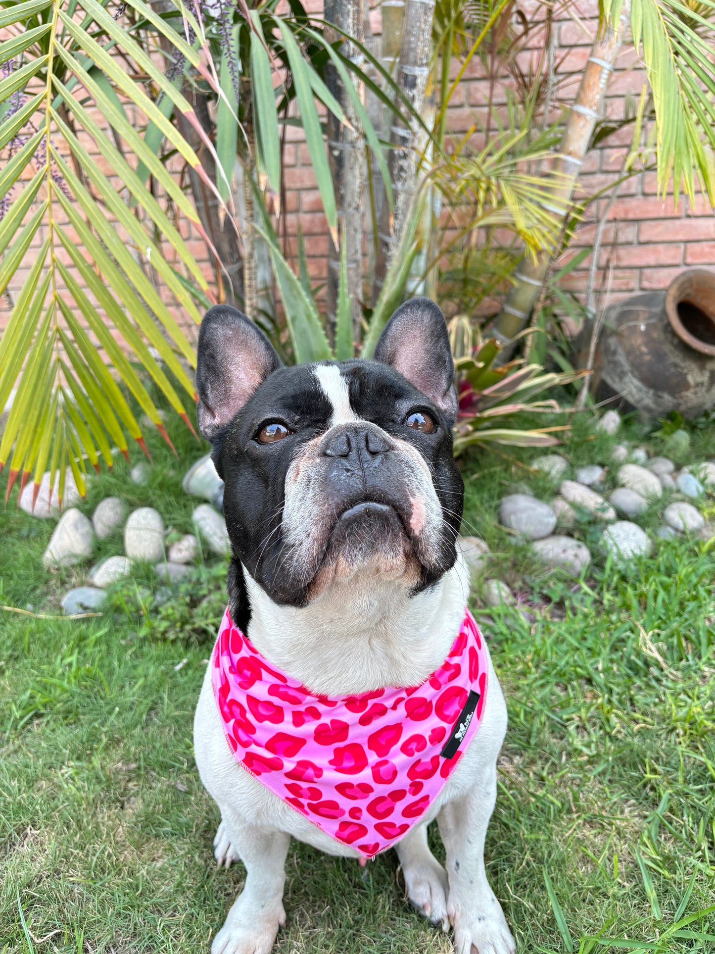 Bandana animal print