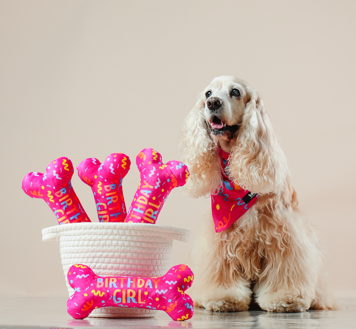 Bandana Birthday girl