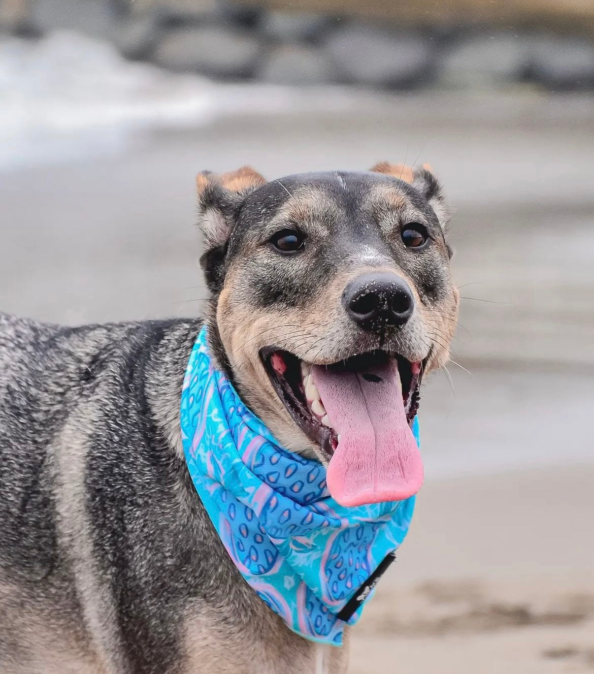 Bandana Princesa